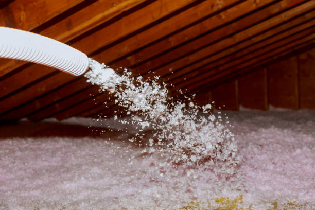 Best Insulation Maintenance and Repair in Port Jervis, NY
